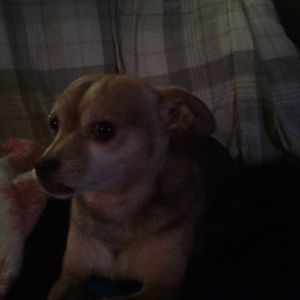 Meet your Posher, William